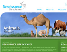 Renaissance Life Sciences